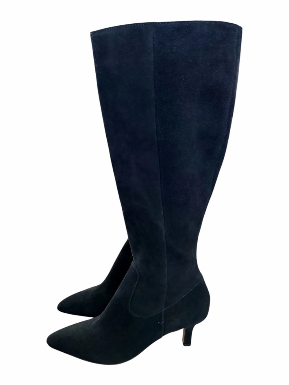 Dolce Vita Black Suede Pointed Toe Boots